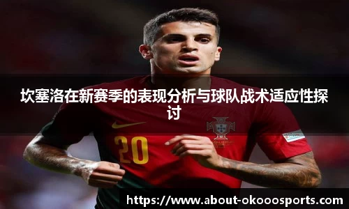 坎塞洛在新赛季的表现分析与球队战术适应性探讨