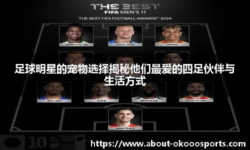 足球明星的宠物选择揭秘他们最爱的四足伙伴与生活方式
